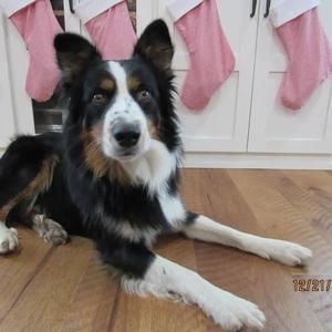 Meet your Posher, Natalia